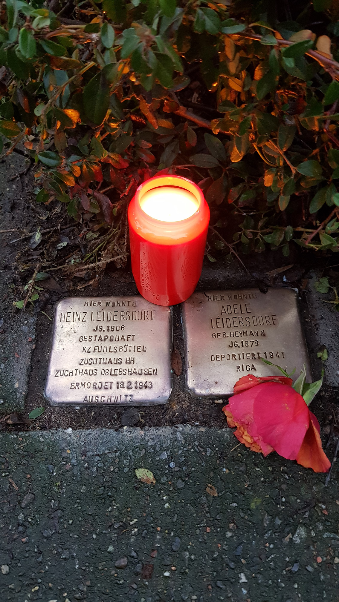 Stolpersteine mit Grablicht und ROse