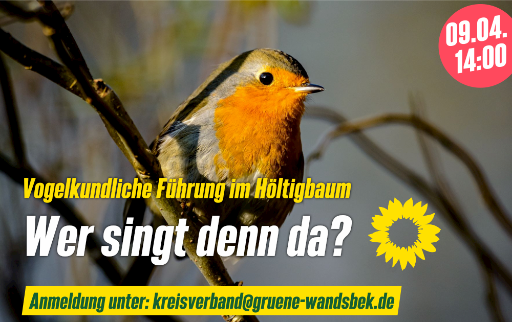 Veranstaltung: Vogelkundliche Führung im Höltigbaum