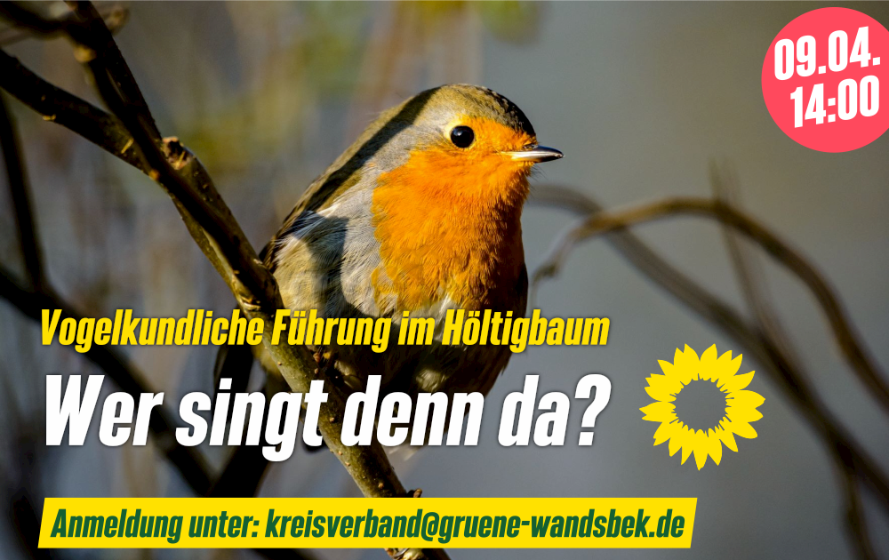 Vogel mit Text - wer singt denn da?