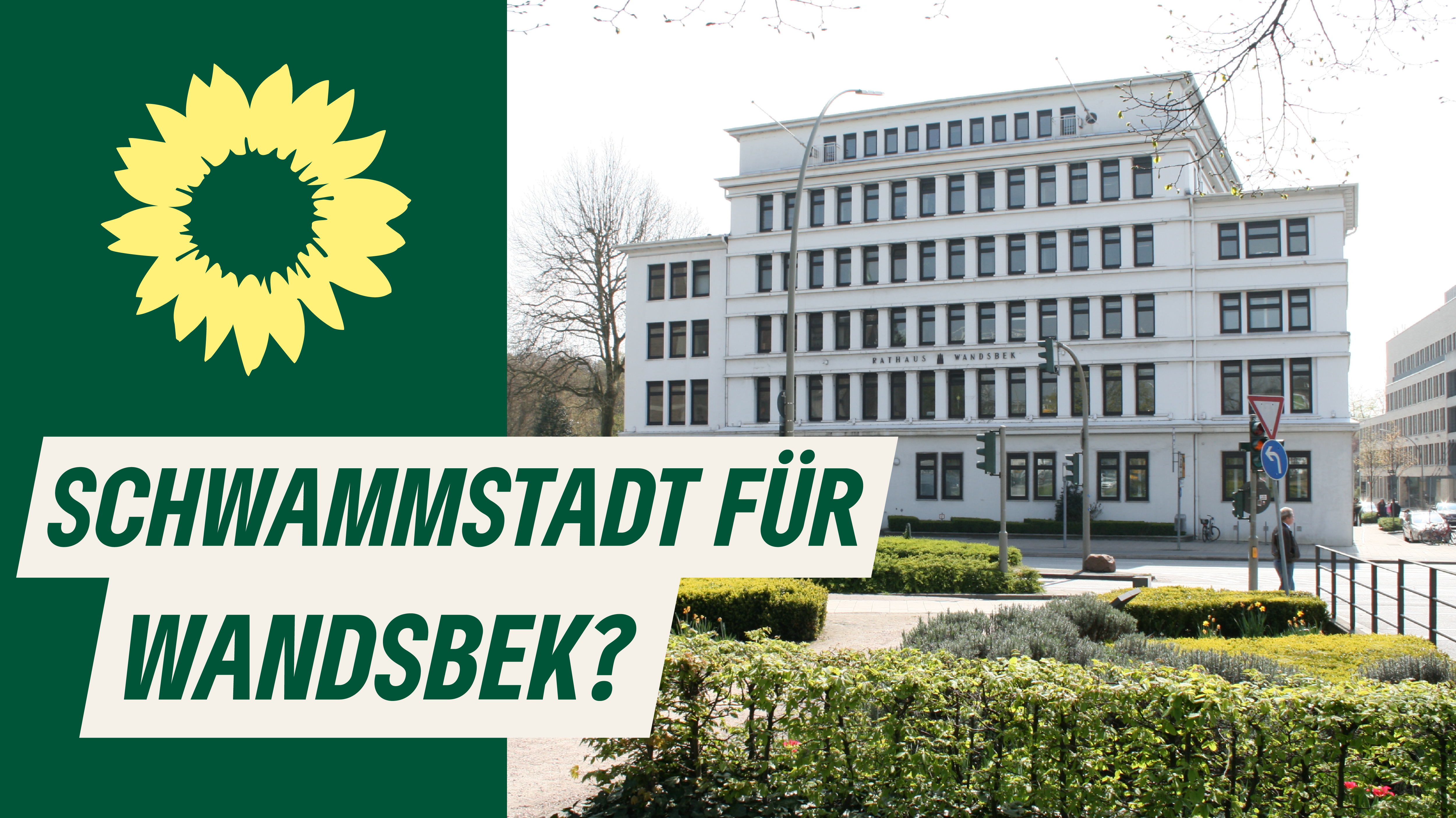 Bild vom Rathaus Wandsbek mit Titel "Schwammstadt für Wandsbek?" und Sonnenblumen-Logo von BÜNDNIS90/DIEGRÜNEN